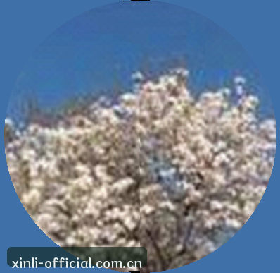 刘阳